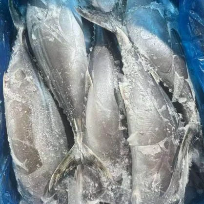 Что делает сарда тунца ценным выбором для покупателей морепродуктов?