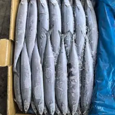 BQF Морская замороженная тихоокеанская сайра